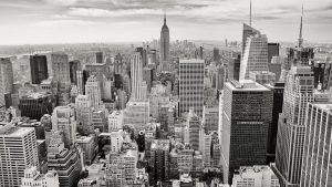Sportsbooks Launching in NY