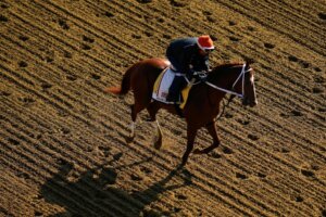 Mage Favored In 2023 Preakness Stakes