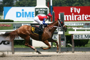Renovations at Belmont Park